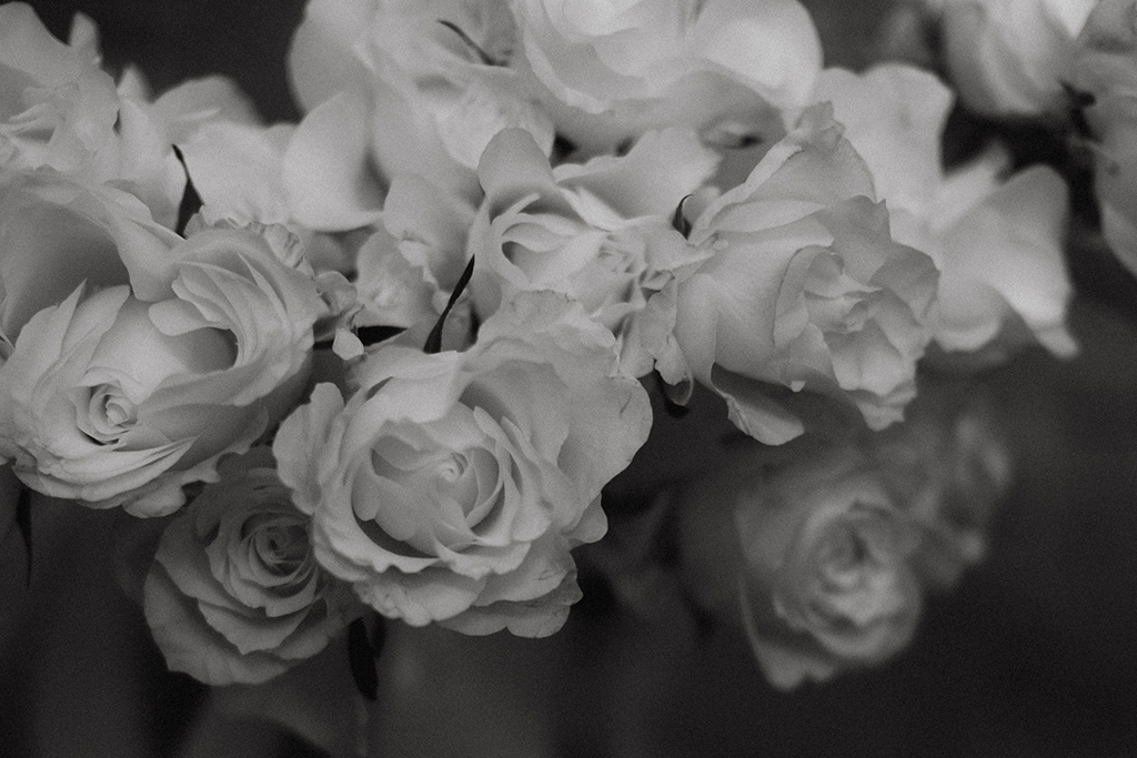 ZANE SLABBERT PHOTOGRAPHY